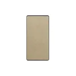 SmartinHuis - Blanco plaat - Module 1/2 - Goud